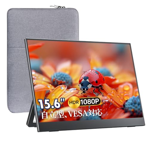 VisionOwl モバイルモニター