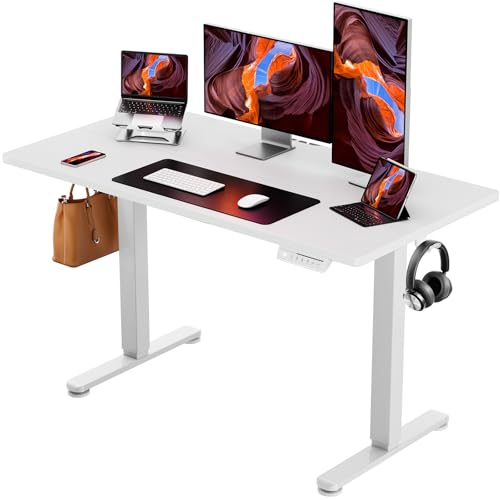 ErGear 電動昇降デスク 幅120cm 耐荷重80kg 高さメモリー機能 静音 72-118cm