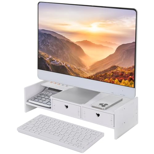 VECELO モニター台 モニタースタンド 幅49×奥行19×高さ12cm 引き出し付き