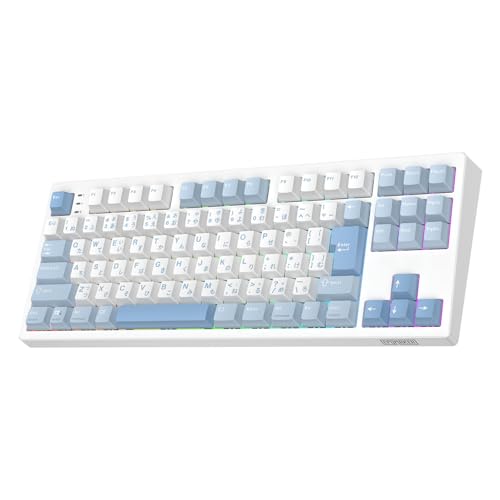 EPOMAKER TH87 JIS 日本語配列 TKL ワイヤレスゲーミングキーボード